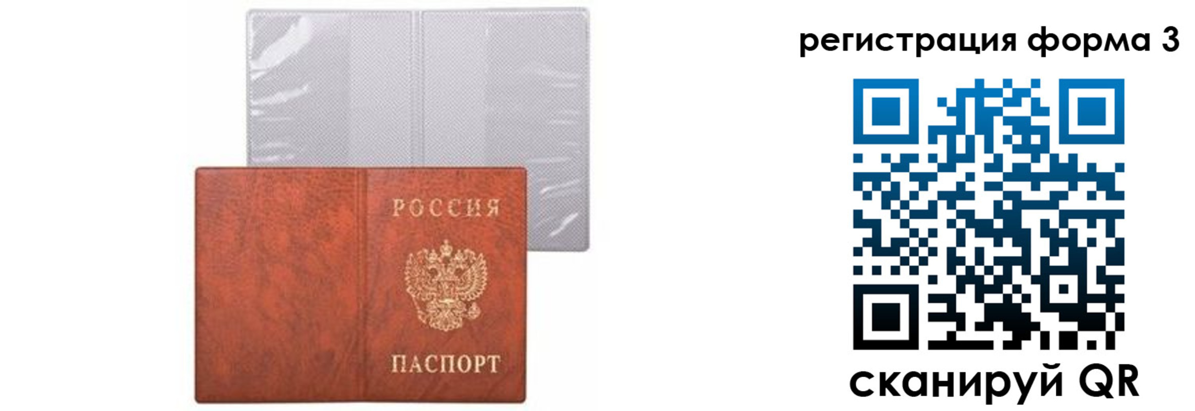 прописка 2025 в Курской области